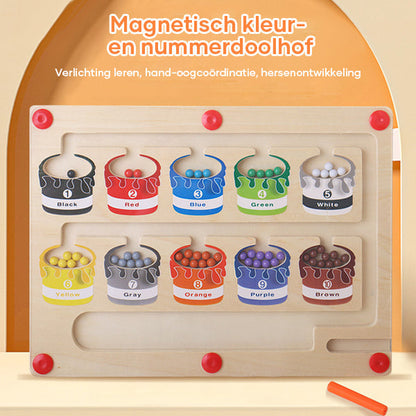 Fun Interactive Magnetic Maze Board