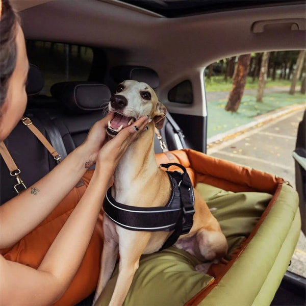 Premium Pet Car Bed & Back Seat Cover