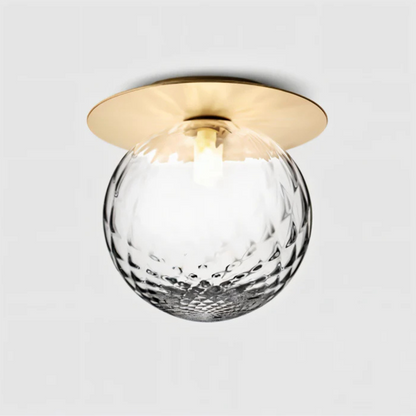 Premium LED Ceiling and Wall Light Fixture