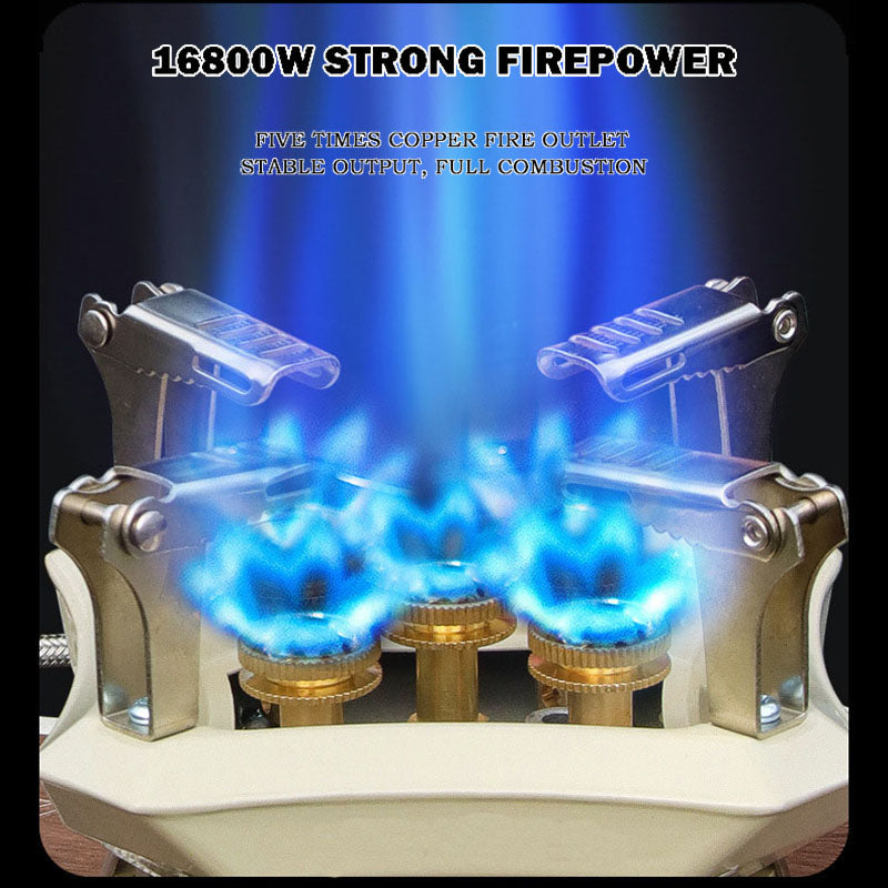 Portable Heavy Duty Camping Gas Stove