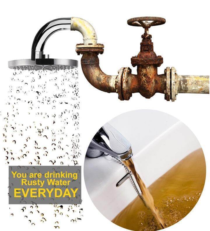 Purifying Shower Head Water Filter