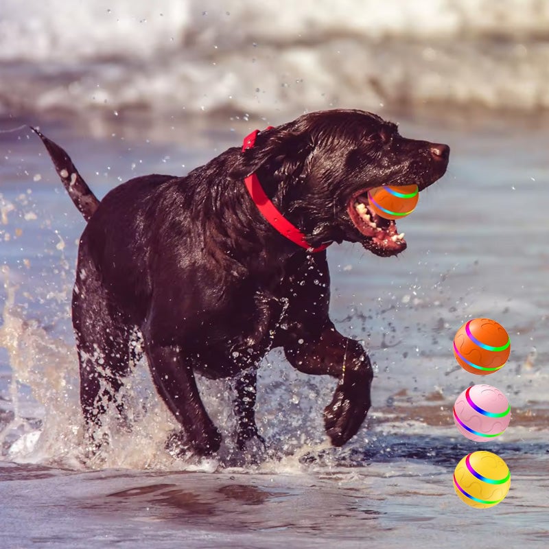 Durable Interactive Pet Toy Ball