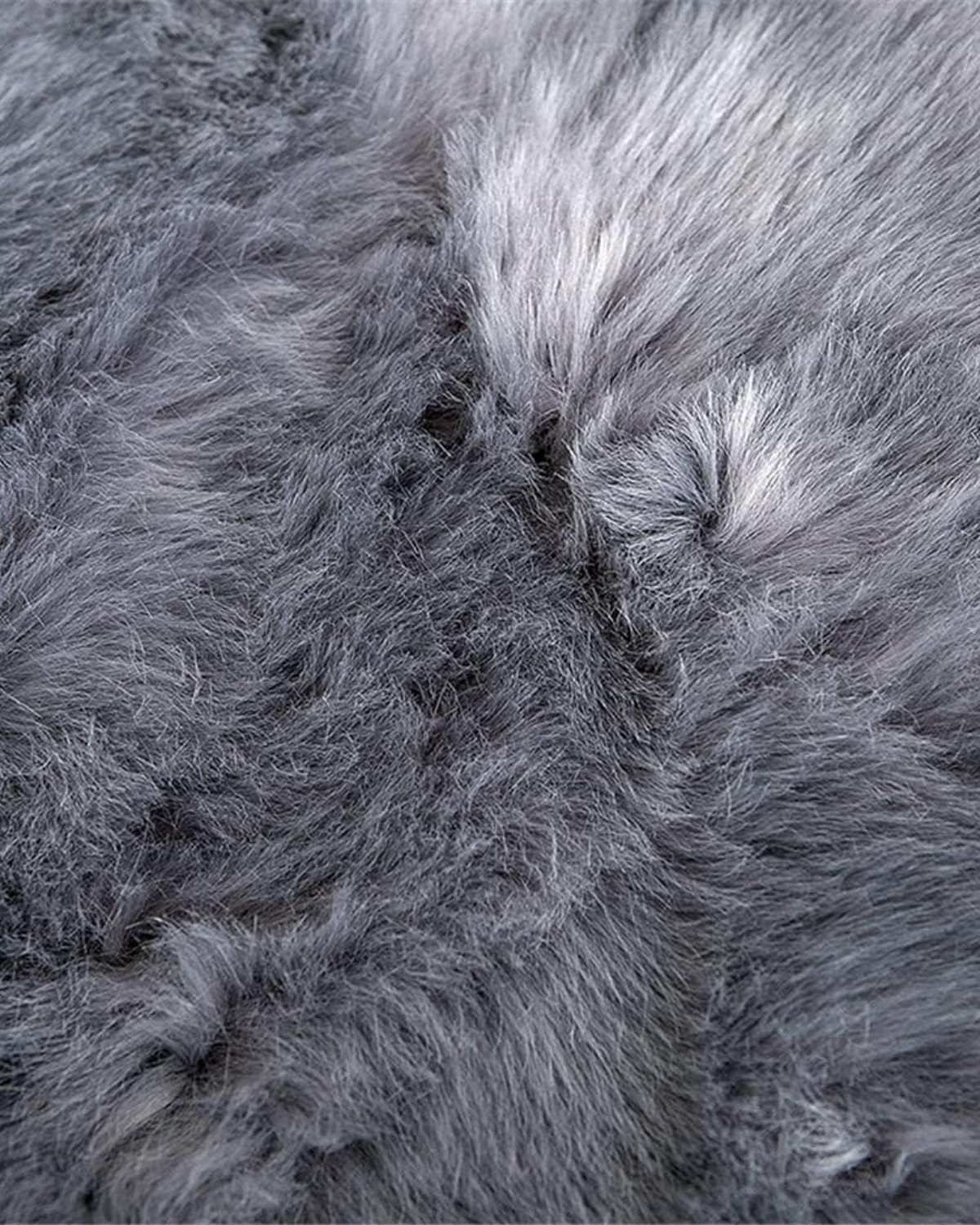 Cozy Yeezlab Throw Blanket with Ultra Soft Fabric
