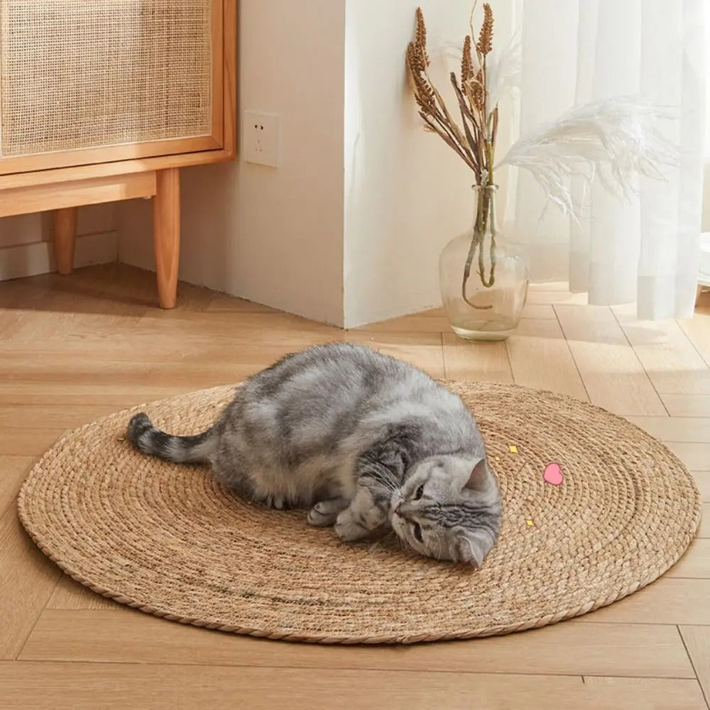 Cat Scratch Durable Matte Pad