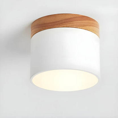 Retro Style LED Ceiling Light