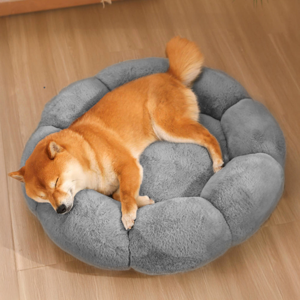 Comfy Pet Bed with Floral Pattern & Washable Cover