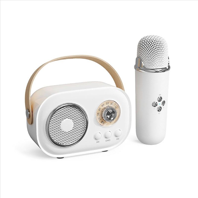 Portable Karaoke System & Wireless Bluetooth Speaker - Yeezlab