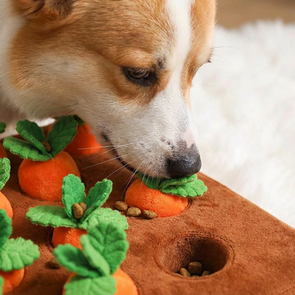 Calming Carrot Farm Interactive Dog Toy