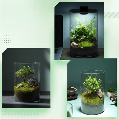 Small Indoor Garden Glass Terrarium Vase