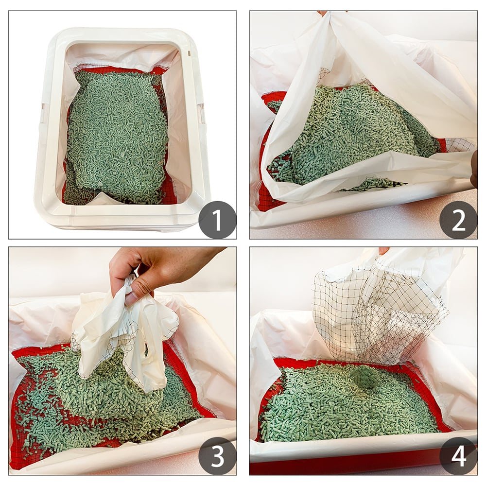 Odor Free Cat Litter Box Solution
