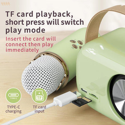 Portable Karaoke System & Wireless Bluetooth Speaker
