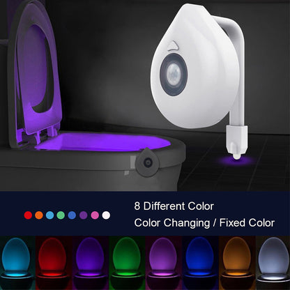 Motion Sensor LED Toilet Bowl Light