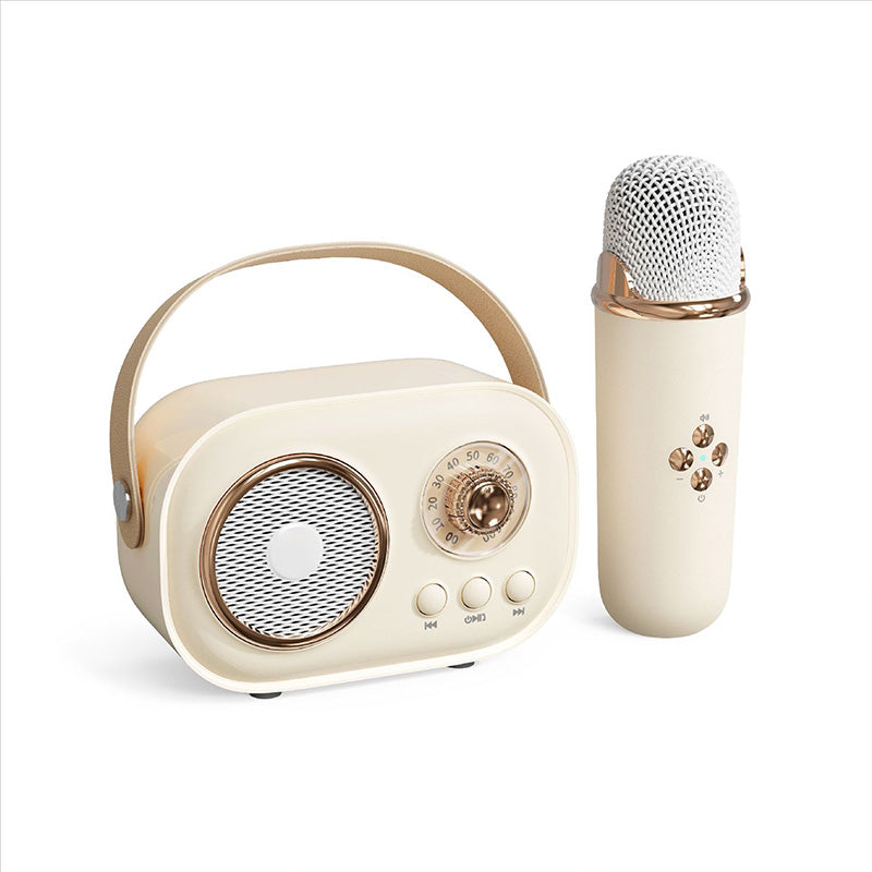 Portable Karaoke System & Wireless Bluetooth Speaker