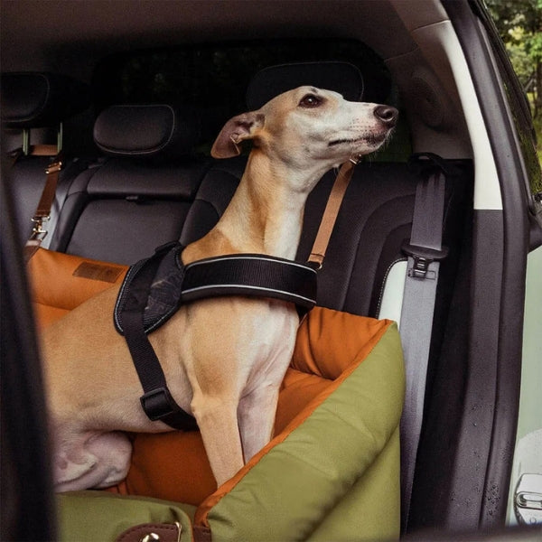 Premium Pet Car Bed & Back Seat Cover