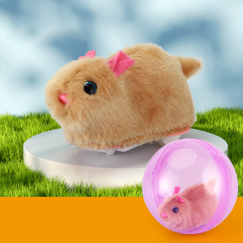 Fun Pet Exercise Ball Toy