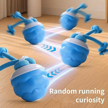 Yeezlab PawPulse - Healthy Pet Fitness Tracker