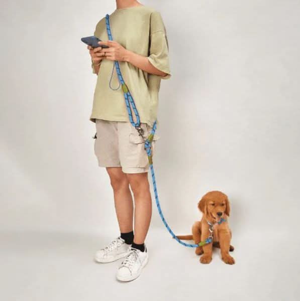 Running Dog Leash with Hands-Free Harness