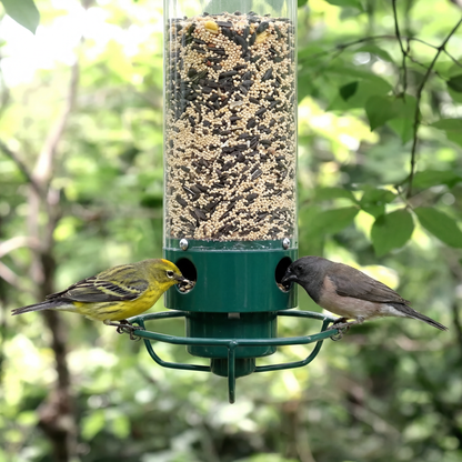 Squirrel-Proof Metal Bird Feeder with Rotating Cage