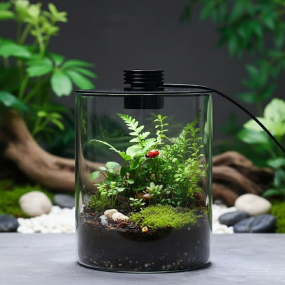 Small Indoor Garden Glass Terrarium Vase