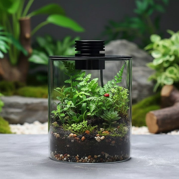 Small Indoor Garden Glass Terrarium Vase - Yeezlab