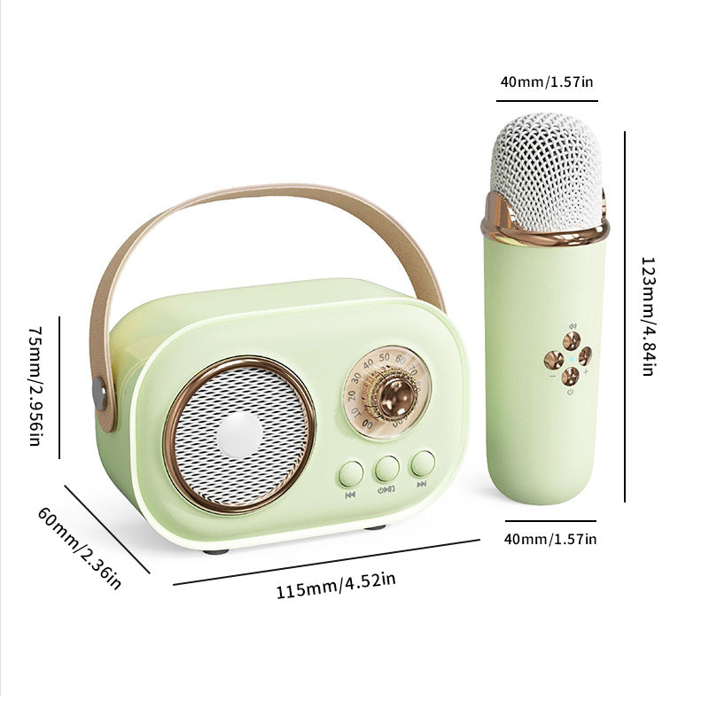 Portable Karaoke System & Wireless Bluetooth Speaker