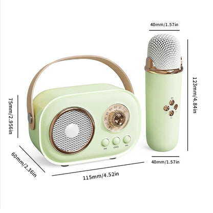 Portable Karaoke System & Wireless Bluetooth Speaker