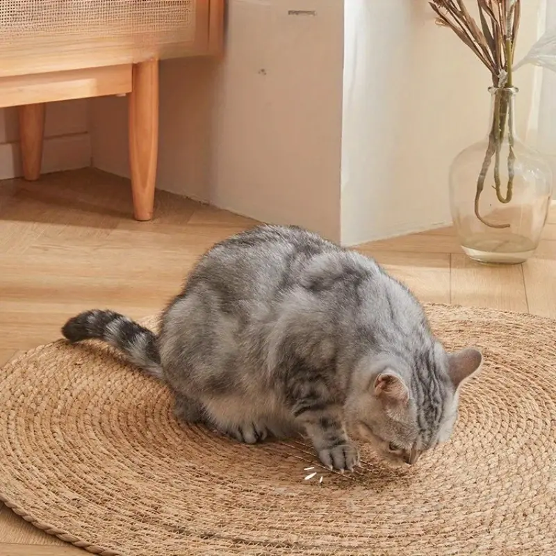 Cat Scratch Durable Matte Pad