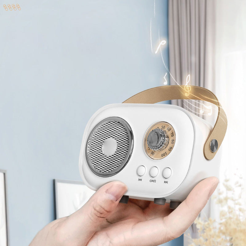 Portable Karaoke System & Wireless Bluetooth Speaker