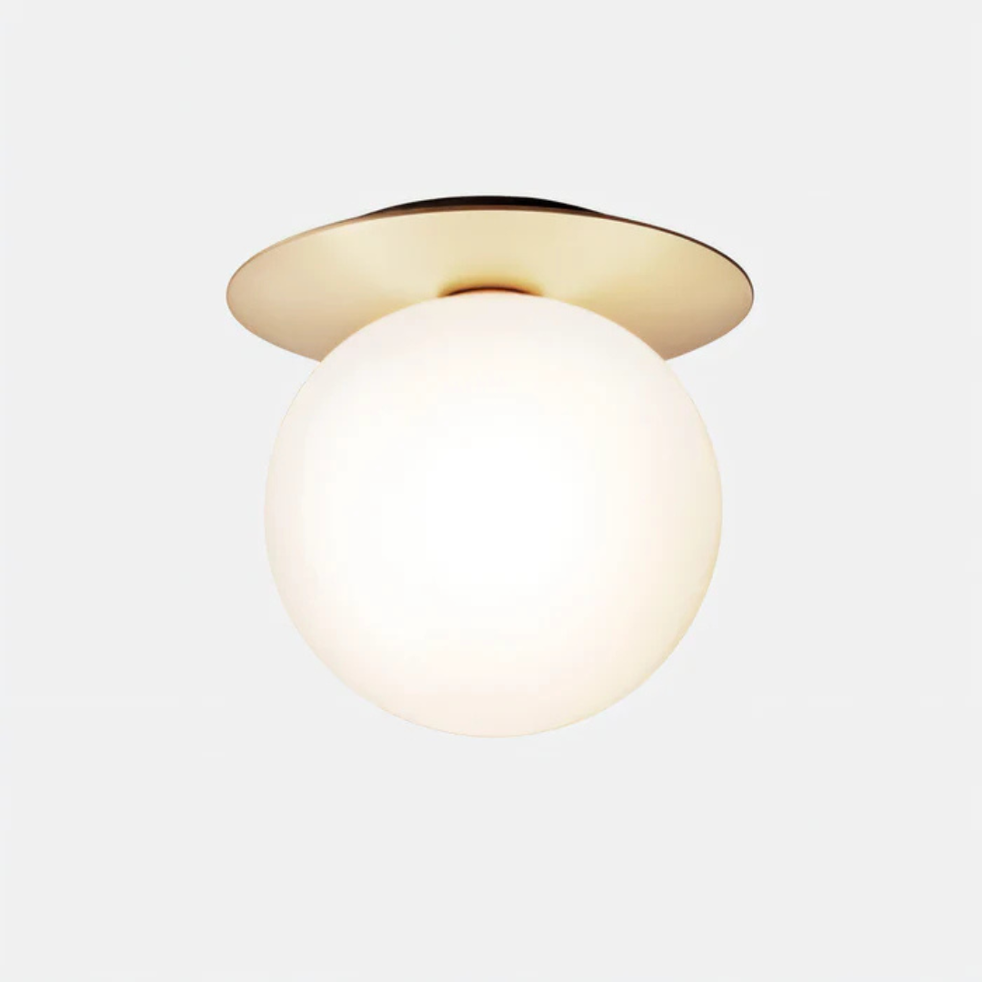 Premium LED Ceiling and Wall Light Fixture
