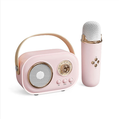 Portable Karaoke System & Wireless Bluetooth Speaker