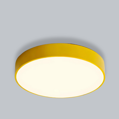 Circular Adjustable LED Ceiling Lamp