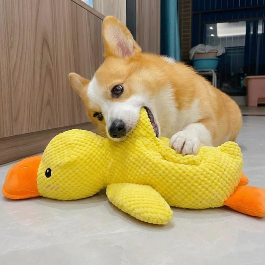 Calming Durable Duck for Dogs