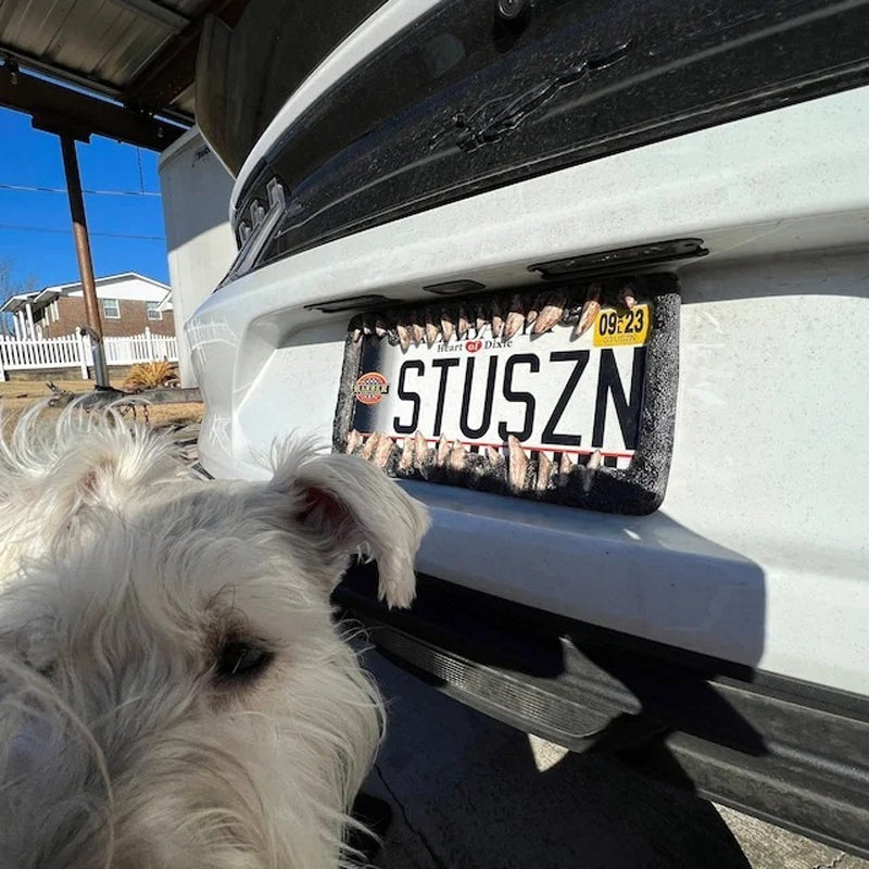 Spooky Car Decor Lights