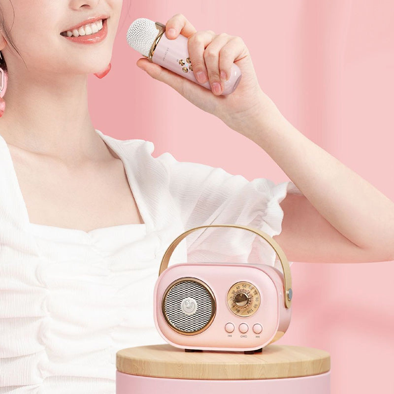 Portable Karaoke System & Wireless Bluetooth Speaker
