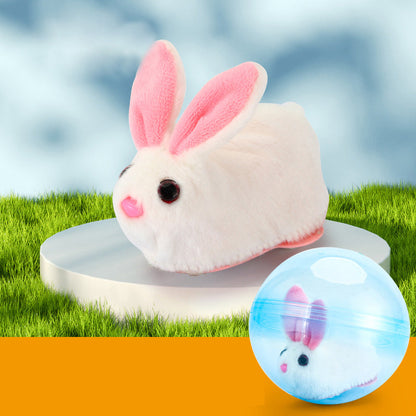 Fun Pet Exercise Ball Toy