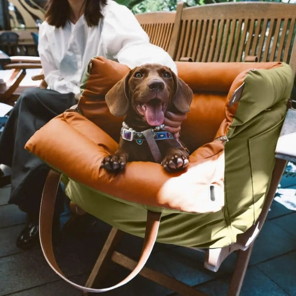 Premium Pet Car Bed & Back Seat Cover - Yeezlab