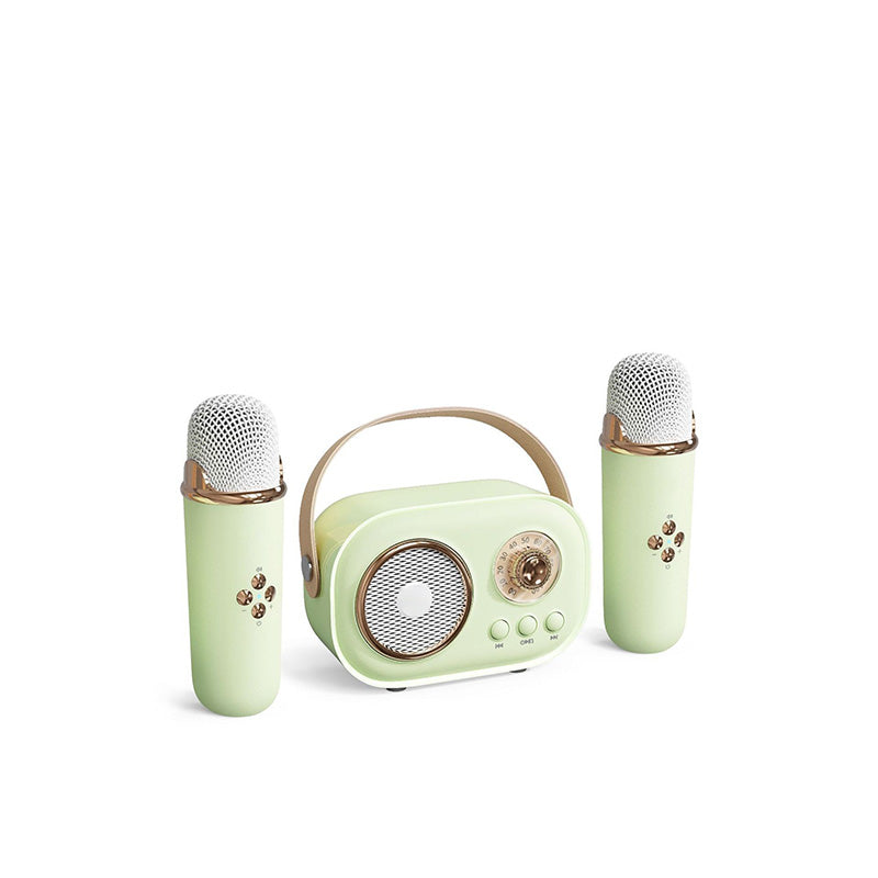 Portable Karaoke System & Wireless Bluetooth Speaker