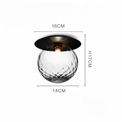 Premium LED Ceiling and Wall Light Fixture