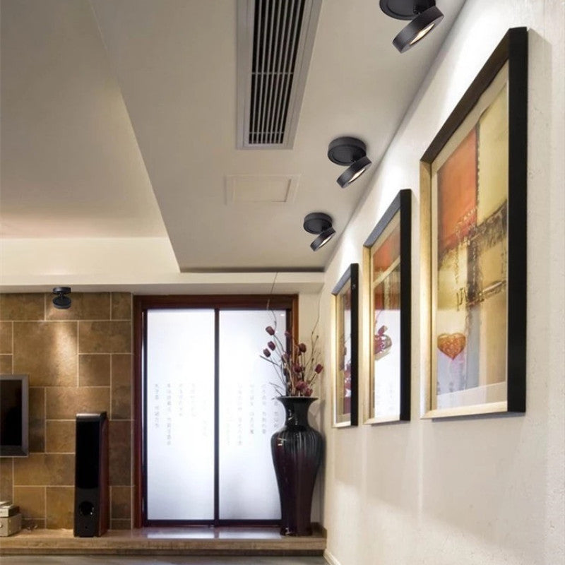 Modern Metal Ceiling Light Spot