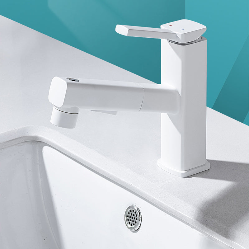 Single Handle Pull-Out Kitchen Sink Faucet with Rotating Spout
