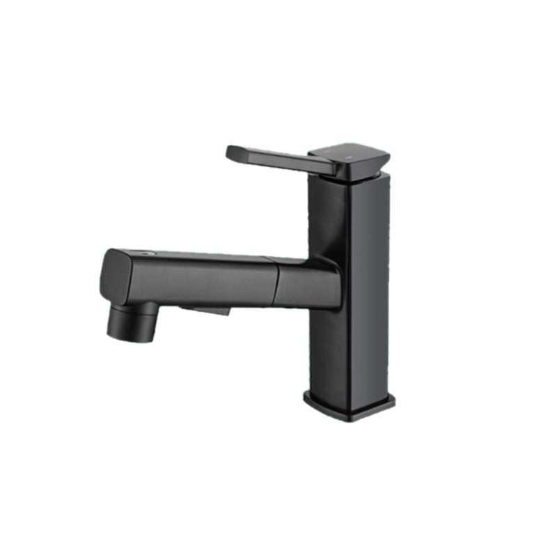 Single Handle Pull-Out Kitchen Sink Faucet with Rotating Spout - Yeezlab