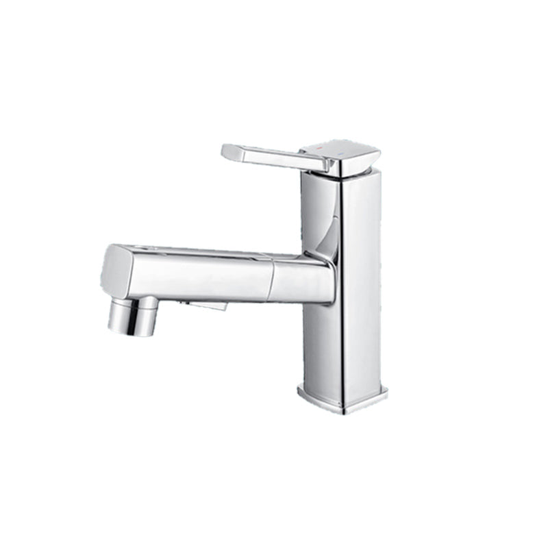 Single Handle Pull-Out Kitchen Sink Faucet with Rotating Spout