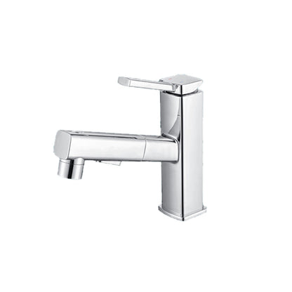 Single Handle Pull-Out Kitchen Sink Faucet with Rotating Spout