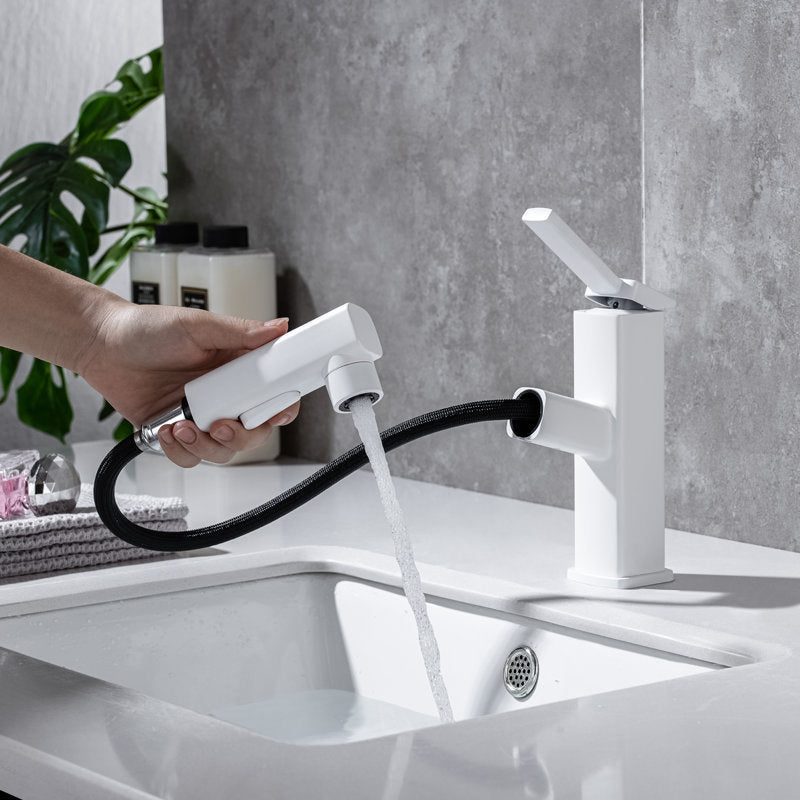 Single Handle Pull-Out Kitchen Sink Faucet with Rotating Spout