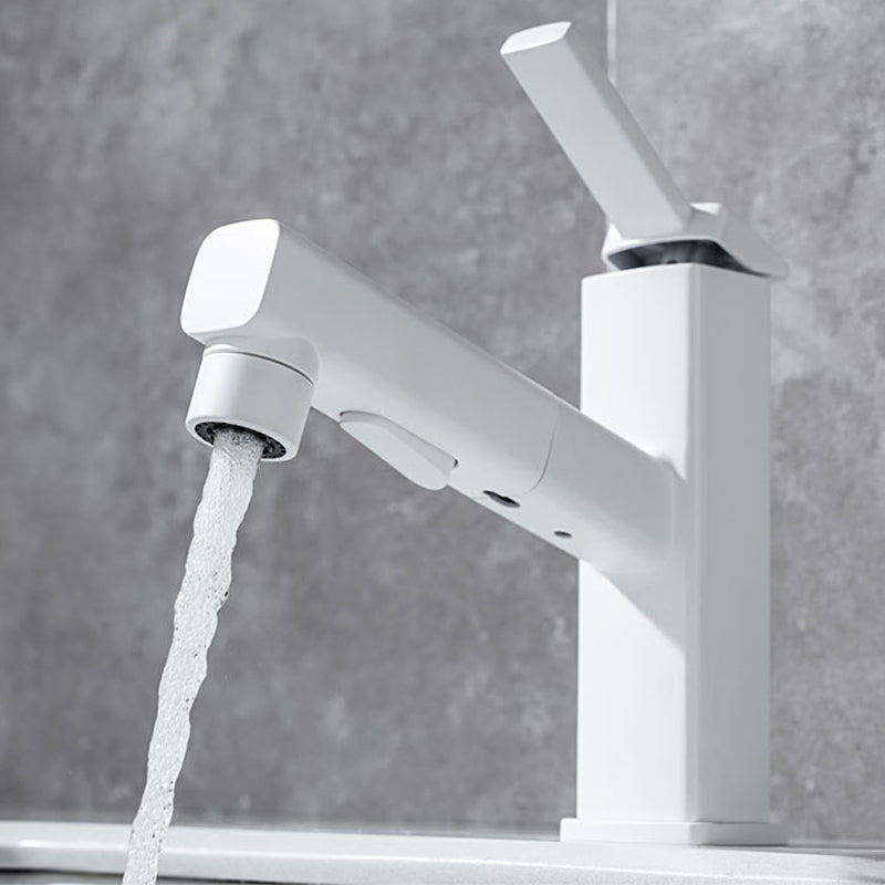 Single Handle Pull-Out Kitchen Sink Faucet with Rotating Spout