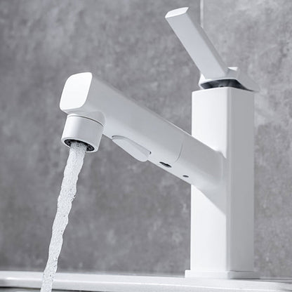 Single Handle Pull-Out Kitchen Sink Faucet with Rotating Spout