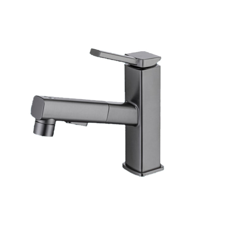 Single Handle Pull-Out Kitchen Sink Faucet with Rotating Spout