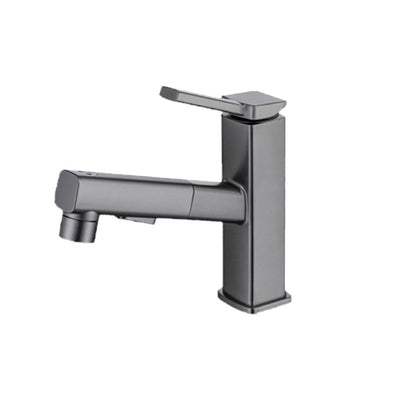 Single Handle Pull-Out Kitchen Sink Faucet with Rotating Spout
