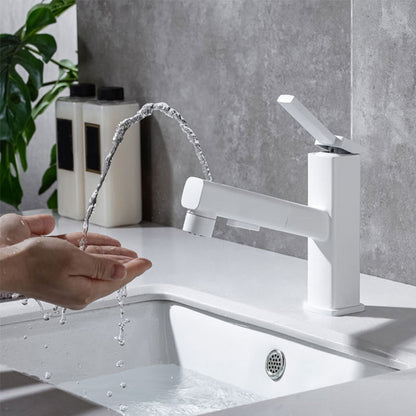 Single Handle Pull-Out Kitchen Sink Faucet with Rotating Spout