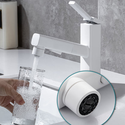 Single Handle Pull-Out Kitchen Sink Faucet with Rotating Spout